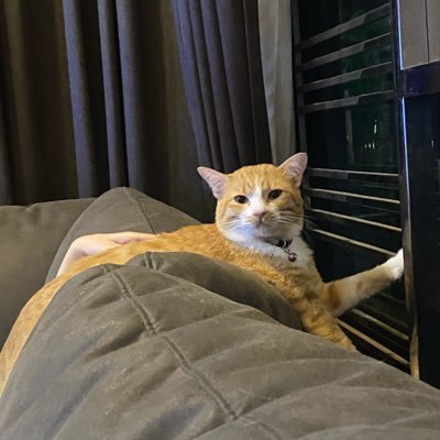 MlaiIm's profile picture. มะอาววน้องงงงง