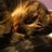 DuchessMarlon's profile image