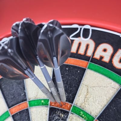 DartsGuy2024 Profile Picture