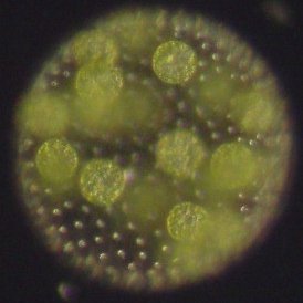 tadashi_morishi's profile picture. 