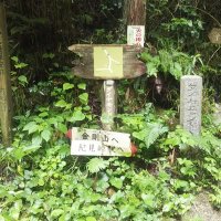 高野山まで歩こう!(新) (@jqknw3lg7a85650) 's Twitter Profile Photo 高野山まで歩こう!(新) (@jqknw3lg7a85650) 's Twitter Profile Photo