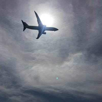 0114ph's profile picture. 検索と記録用です。