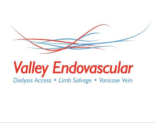 Valley Endovascular Institute of Surgery engages in the diagnosis and treatment of vascular disease.
