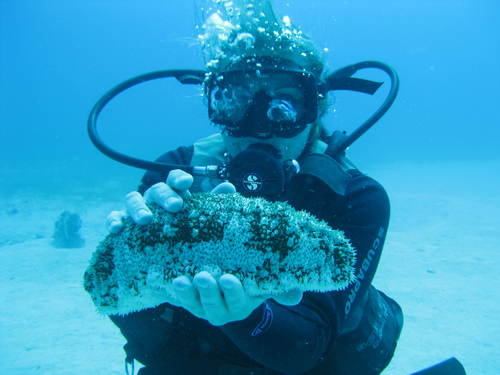 Mandyjs72's profile picture. 