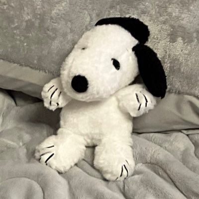 formytapes's profile picture. 好きな情報を知るためのアカウント 成人済