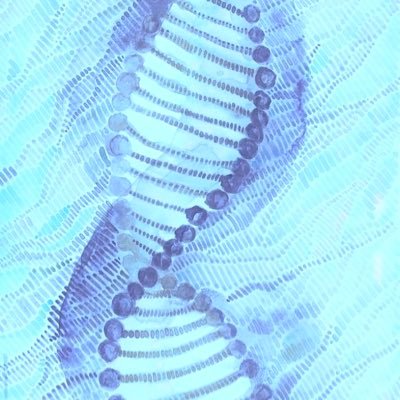 U4ulq's profile picture. 