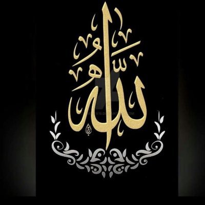lioness #unapologeticmuslim. alhumdullilah married