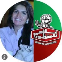 Aliya Hamza Malik(@aliya_hamza) 's Twitter Profile Photo