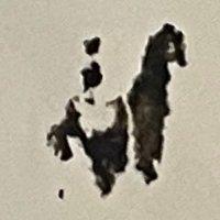 高岡 勇介/Yusuke Takaoka (@ysktkok_art) 's Twitter Profile Photo 高岡 勇介/Yusuke Takaoka (@ysktkok_art) 's Twitter Profile Photo