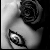 Crazy/Beautiful
