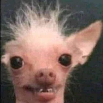 thegayagendaxo's profile picture. 