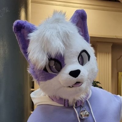 Hi, I'm Lexy! But you can also see me as Riley or Puro. 
🐈🐾 Part-time cat // 
🐈💻 Embedded software engineer // 
🐈🧵 Dabbling in fursuit making