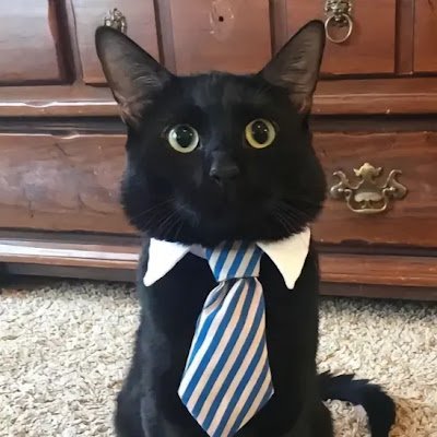 vins67433's profile picture. 