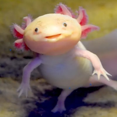 Mmm_Tiddays's profile picture. Boob Scrolling my way through life.