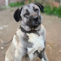 Ufuk Cera (@ceraufuk) 's Twitter Profile Photo