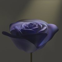 糸華 (@_itokaito_) 's Twitter Profile Photo 糸華 (@_itokaito_) 's Twitter Profile Photo