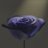_itokaito_'s profile image