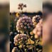 ℛℯ𝒽𝒾𝓂ℴ𝓋𝒶🦋 (@zeineb7_) Twitter profile photo ℛℯ𝒽𝒾𝓂ℴ𝓋𝒶🦋 (@zeineb7_) Twitter profile photo
