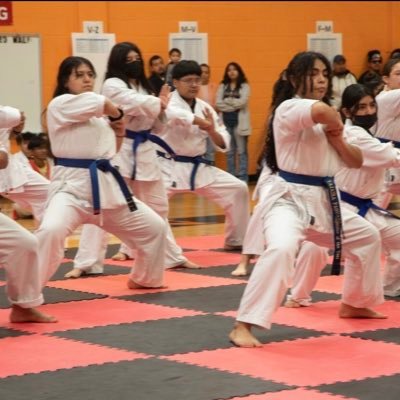 Kickstart Kids offers high quality martial arts instruction during the school day to adolescents navigating the difficult middle school and high school years.