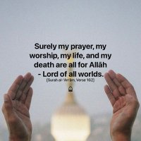 Mozahidul Islam Bappy (@bappymozahid) 's Twitter Profile