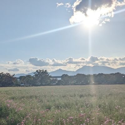soraさんのプロフィール画像