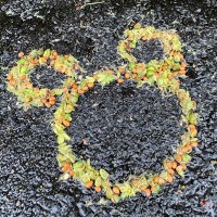 👀💭 (@mirumiru_miruno) 's Twitter Profile