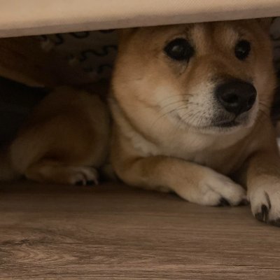 JustLionさんのプロフィール画像