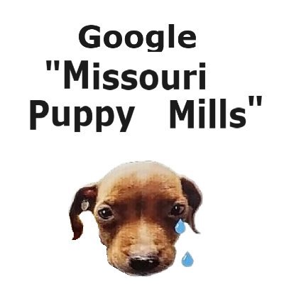 mopuppymills's profile picture. 