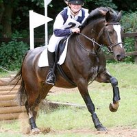 Wendy Brading (@wbrading) 's Twitter Profile