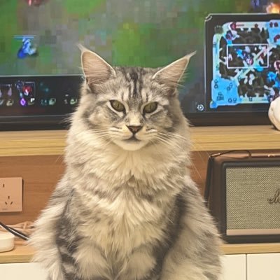 Polariton123's profile picture. Quantum optics.