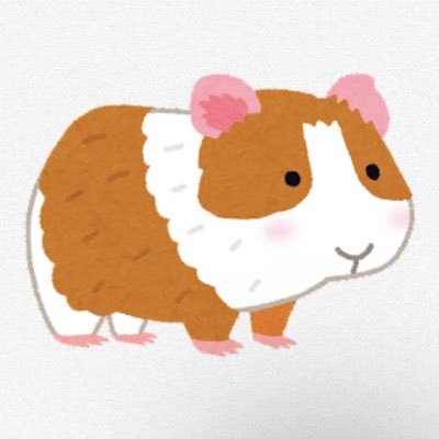 chan___abc's profile picture. 🤍