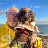 Wayne Davis (@hagstromwayne) 's Twitter Profile