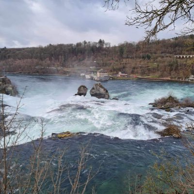 JLampchops's profile picture. 