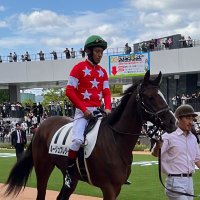 シマ馬 (@ymtaoi2vgw5ahdb) 's Twitter Profile