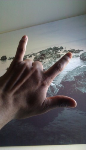 Chiloreds's profile picture. 