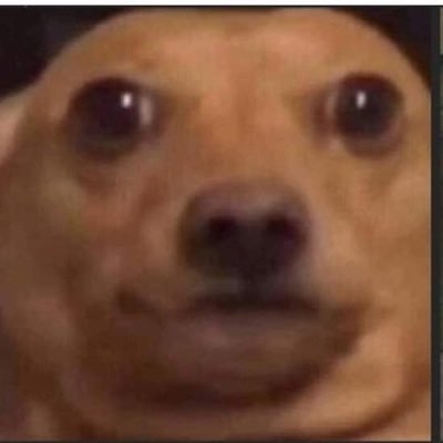 Alfredo0719's profile picture. 