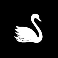 Sudbury Swans FC (@sudburyswansfc) 's Twitter Profile