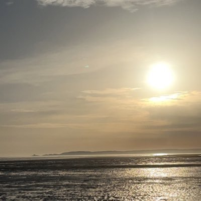 rh1912's profile picture. occasional wind up @SwansOfficial @McLarenF1