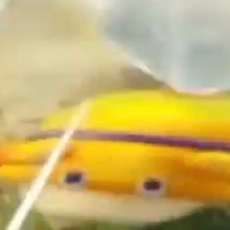 __Deef__'s profile picture. 