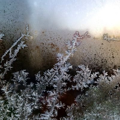 woodpecker_k's profile picture. 