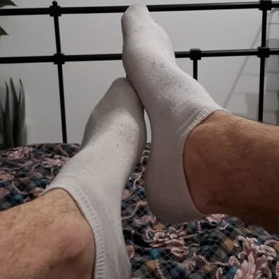 BrnoD59871's profile picture. 