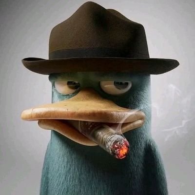 Wendilyn_'s profile picture. They make mistakes, but they don’t quit