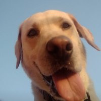 drago (@juansfc766) 's Twitter Profile