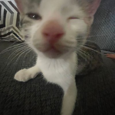 Aryiian's profile picture. creator of Ateros.
join my group