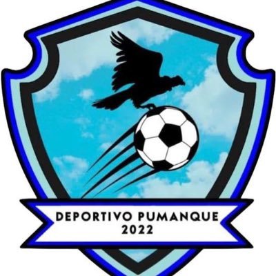 Cuenta Oficial de Deportivo Pumanque 📌Tercera División B - G. Sur 📍Pumanque, LG Bernardo O’Higgins 🏟️Municipal de Pumanque #vamosdeportivopumanque