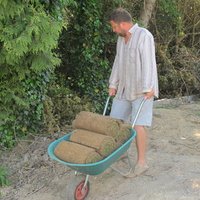 Ivo (@skives1) 's Twitter Profile