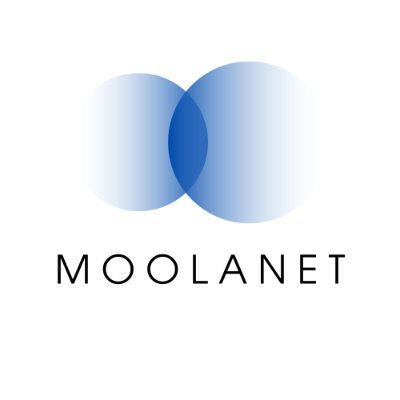 MoolaNet is a decentralized peer-to-peer system built on the BNB blockchain that facilitates the exchange of cryptocurrencies.