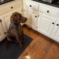 DREWr (@mydogdied2008) 's Twitter Profile