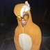 KSE out (@_kevinafc) Twitter profile photo KSE out (@_kevinafc) Twitter profile photo