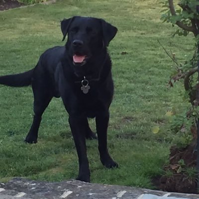 kirstyjarule's profile picture. 